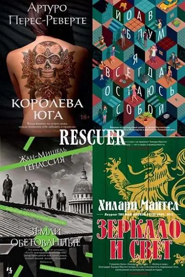 Книжная серия Большой роман»