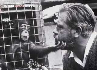Gerald Durrell / Джеральд Даррелл - Собрание сочинений